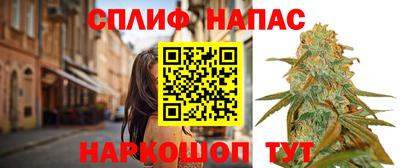 apvp Будённовск
