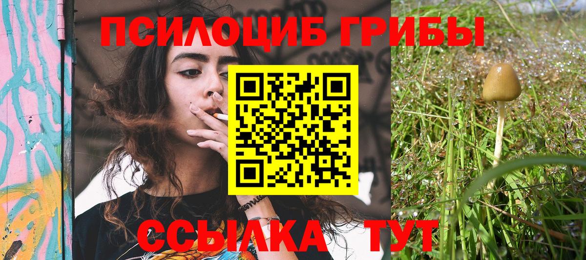 Галлюциногенные грибы мицелий  Вход с VPN  купить наркотик  Заринск 